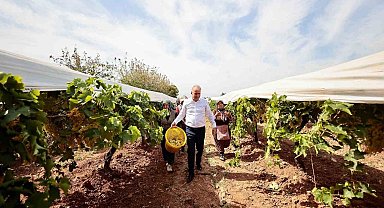 Salkım güvesiyle mücadele tarla gününde anlatıldı
