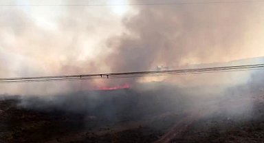 Sancaktepe'de çıkan ot yangını helikopter müdahalesiyle söndürüldü