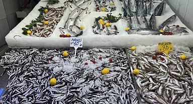 Sinop'ta hamsi tezgaha geldi