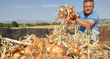 Soğan çiftçinin yeni umudu oldu