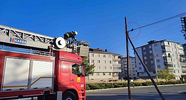 Telefon kablosunda mahsur kalan yavru kediyi itfaiye kurtardı