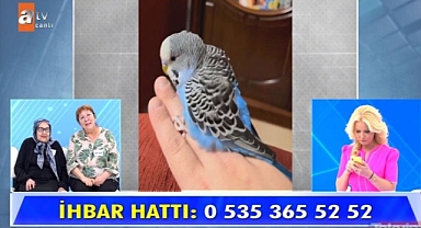 Uçan kuş bile Müge Anlı'dan kaçamadı! Maviş Balıkesir’de Bulundu