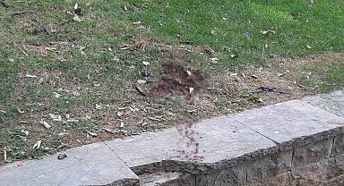 Ünlü oyuncu Seda Fettahoğlu parkta ölü bulundu