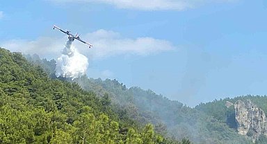 Yangına 2 helikopter ve 4 uçakla müdahale ediliyor