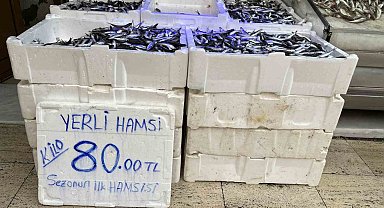 Yeni sezon balıkları tezgahlarda