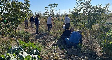 Beyşehir'de çiftçilere tarla faresiyle mücadele eğitimi