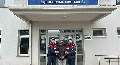 Bursa'da kaçak kazı yapan şüphelilere jandarma baskını: 5 gözaltı