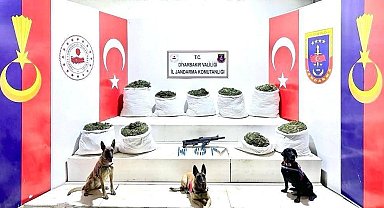 Diyarbakır'da 364,5 kilo uyuşturucu ile 150 bin kök skunk bitkisi ele geçirildi