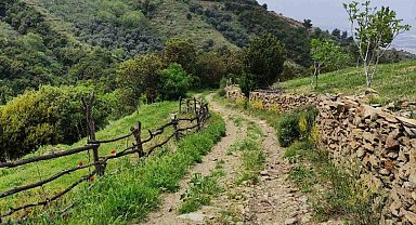 Efeler Yolu, 'En İyi 100 Hikâye' listesinde