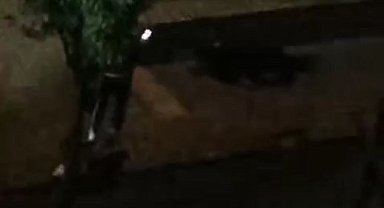 İlginç kavga: Fotoğrafını çekip dövmeye devam etti