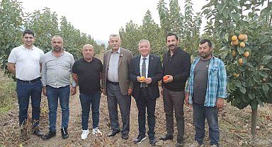 Honaz'da cennet hurması üreticileri nefes alacak