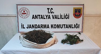 Jandarmanın