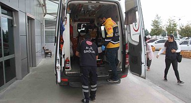 Konya'da ceviz ağacından düşen 3 kişi yaralandı