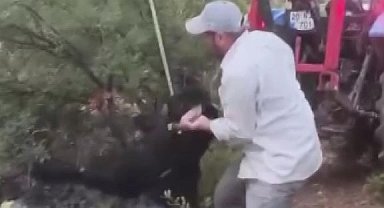 Kuyuya düşen keçi kepçeyle kurtarıldı
