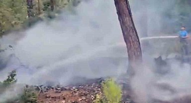 Muğla'da yıldırım kaynaklı yangın