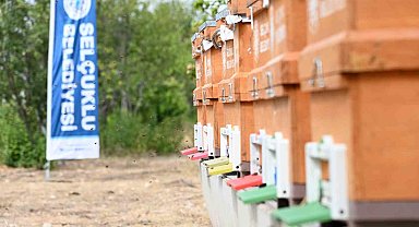 Selçuklu Belediyesi Arıcılığa destek olmaya devam ediyor