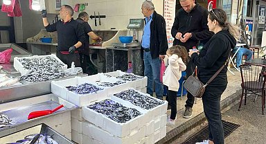 Sinop hamsisi azaldı: Kilosu 60 lira