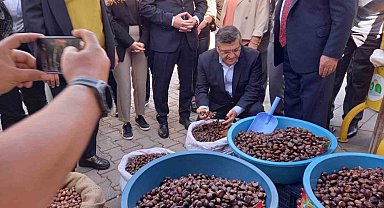 Sinop'ta Kestane Festivali: 1 ton kestane tüketildi