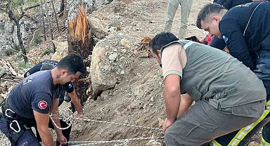 Yaralanan orman işçisine itfaiyeden nefes kesen kurtarma
