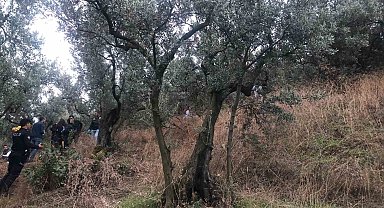 Zeytin ağacına asılı bulunan kadın çocuklarını sevgilisine emanet etmiş