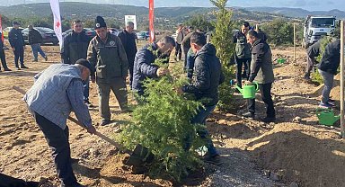 Ayvacık'ta 600 fidan toprakla buluştu
