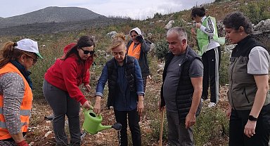 Bodrum'da 10 bin fidan toprakla buluştu