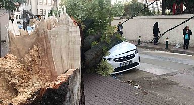 Bursa'da lodos hayatı felç etti