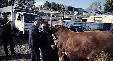 Büyükorhan Marmara'da hayvancılığın merkezi oldu