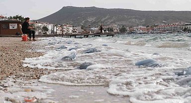 Denizanalarının Foça istilası havadan görüntülendi