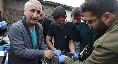 Diyarbakır'da veteriner hekim adayları saha çalışmalarına katıldı