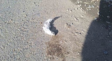 Esenler'de uyuşturucu satıcısı kovalama sonucu yakalandı