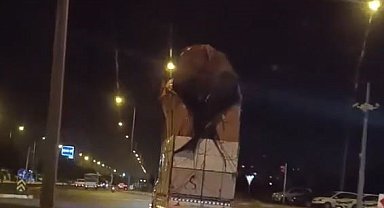 Eve değil, kamyonete 4 kat çıktı: Görenler hayrete düştü