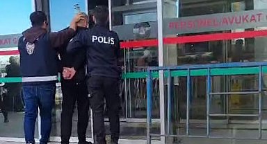 Fatih'te kedileri toplayan kişinin işyerinden çok sayıda ölü kedi çıktı