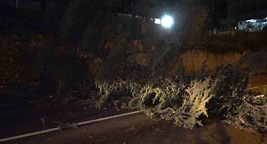 Fırtına Bursa'yı yıktı geçti...Otobüsün üzerine uçan çatı 2 yolcuyu yaraladı