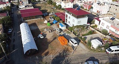 Hurma kurutma işi mahalleyi fabrikaya çevirdi