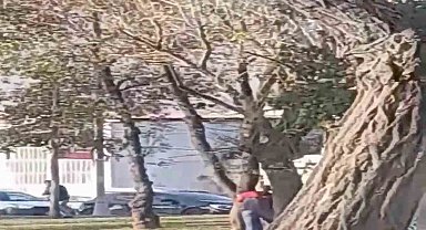 İstanbul'da sarhoşların silahlı kavgası kamerada: Ağaçların arkasından çatıştılar