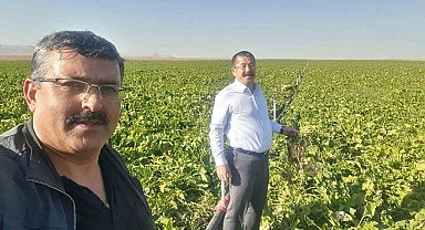 Karapınar'da mısır ve şekerpancarı mesaisi