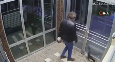 Küçükçekmece'de kediyi darp eden sanık hakkında mütalaa: 6 yıl hapsi istendi