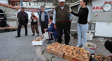 Kuraklığa rağmen Çıntar bolluğu