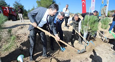 Mehmetçik Hatıra Ormanı'nda binlerce fidan toprakla buluştu