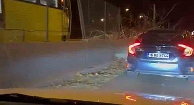 Metro raylarına ağaç düştü, seferler bir süreliğine iptal edildi