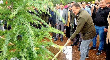 Muğla'da 79 noktada 62 bin 236 fidan dikimi gerçekleştirildi