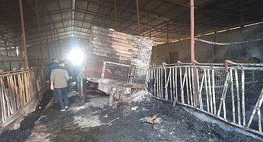 Orman yangınından etkilenen işletmelerde incelemelerde bulunuldu