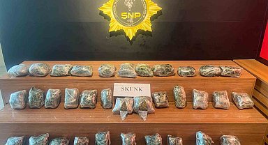 Şanlıurfa'da 21 kilo skunk ele geçirildi