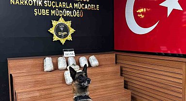 Şanlıurfa'da 9 kilo skunk ele geçirildi
