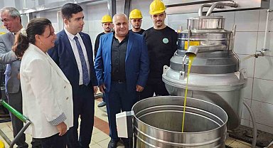 Sezonun ilk zeytinleri işlenmeye başlandı
