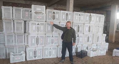 Tarım Kredi zeytin üreticisini yüzüstü bıraktı