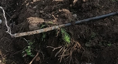 Hükümet Bahçesinde Çalışmalarına Devam Ediyor