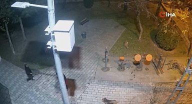 Ümraniye'de köpeklere ateş eden sanık bu kez de avukat tehdit etti