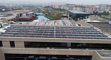 Avlu'nun Güneş Santralleri Binlerce Ağacı Kurtarıyor